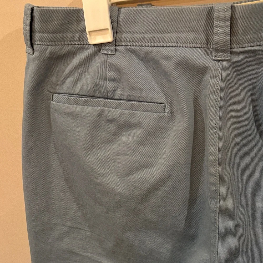 J. Crew Light Blue Flat Front Shorts 9